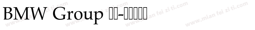 BMW Group 中文字体转换